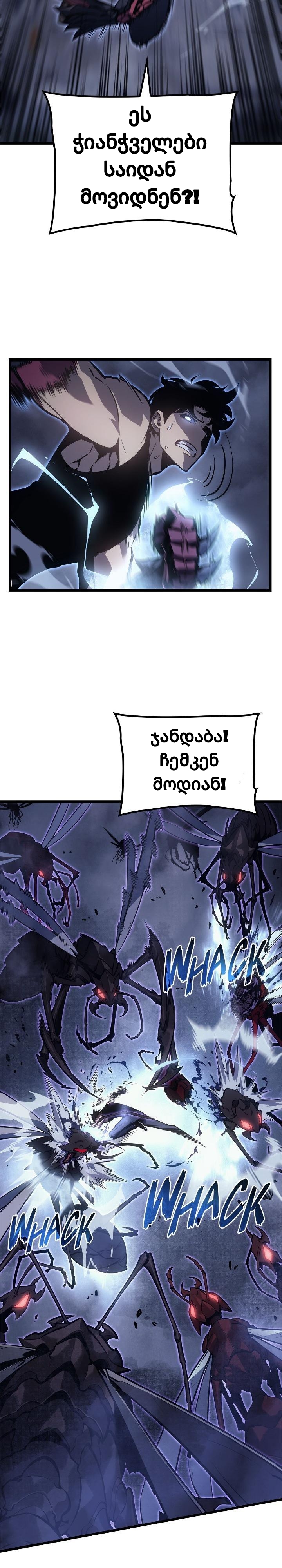 Page (41)